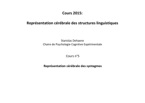 Cours 2015: Représentation cérébrale des structures linguistiques