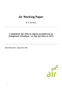 Working Paper n°3 - Air – Innovation et recherche au service du climat