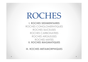 I. ROCHES SEDIMENTAIRES ROCHES CONGLOMERATIQUES