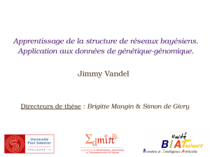 Jimmy Vandel Apprentissage de la structure de réseaux bayésiens