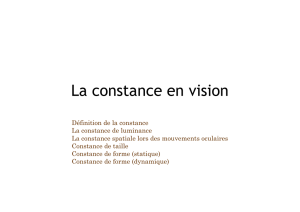 La constance en vision - Mark Wexler