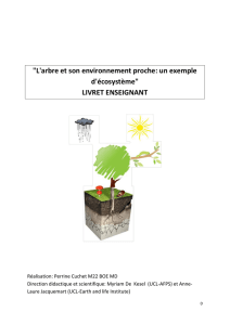 L`arbre et son environnement proche: un exemple - e