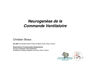 Neurogenèse de la Commande Ventilatoire