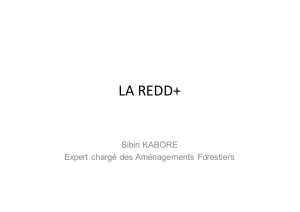 LA REDD+ - Agrhymet