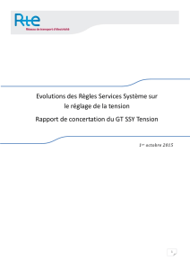 Consulter le rapport de concertation du GT SSY Tension de