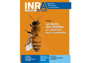 DOSSIER Le déclin des abeilles, un casse-tête pour la