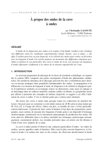 À propos des ondes de la cuve à ondes