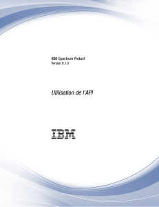 IBM Spectrum Protect : Utilisation de l`API