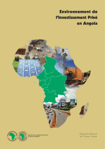 Angola - Environnement de l`Investissement Privé