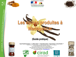 Les épices produites à Madagascar En savoir plus (Version PDF)