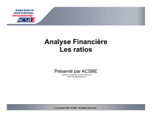 Analyse Financière Les ratios - wbnb