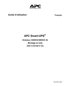 APC Smart-UPS - Terms and Conditions