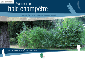 Planter une haie champêtre - Parc naturel régional du Vexin français