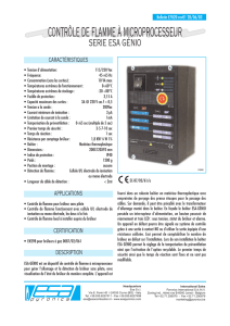 contrôle de flamme à microprocesseur