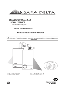 CHAUDIERE MURALE GAZ DOUBLE SERVICE