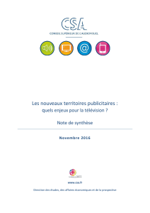 Les nouveaux territoires publicitaires