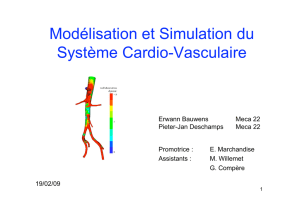 Modélisation et Simulation du Système Cardio