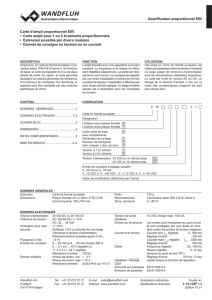 Amplificateur proportionnel E05 Carte d`ampli proportionnel E05