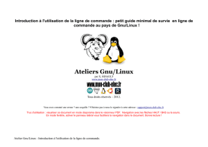 Ateliers Gnu/Linux - Mon Club-Elec