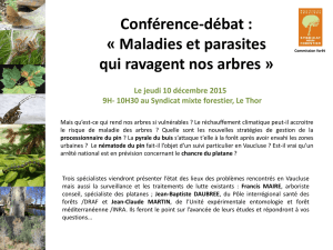 Conférence-débat - Syndicat mixte forestier
