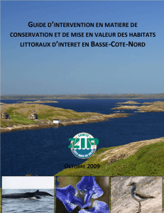 Guide d`intervention en matière de conservation et de mise en