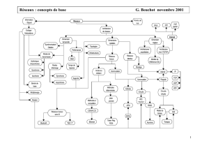 Réseaux : Concepts de base