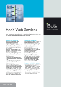 HooX Web Services