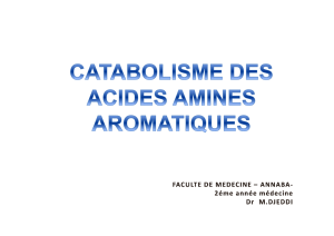 Catabolisme des acides aminés aromatiques