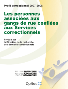 Profil correctionnel 2007-2008 : les personnes associées aux gangs