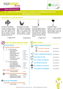 Aide à la détermination à utiliser en complément du livre «Sauvages