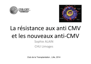 La résistance aux anti CMV et les nouveaux anti-CMV