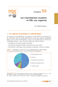 Les traumatismes oculaires et ORL aux urgences