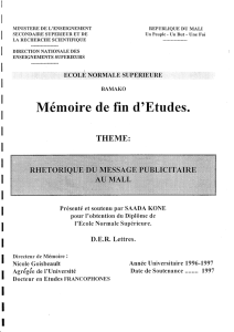 Mémoire de fin d`Etudes.