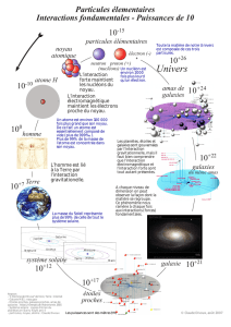 Des particules aux galaxies - Physique