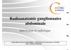 Radioanatomie ganglionnaire abdominale