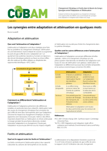 Les synergies entre adaptation et atténuation en quelques mots