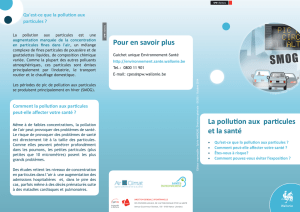 La pollution aux particules et la santé - Portail Environnement