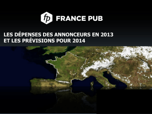 Les dépenses des annonceurs en 2013 - France Pub