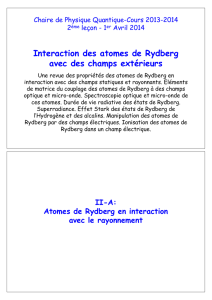 Interaction des atomes de Rydberg avec des champs extérieurs