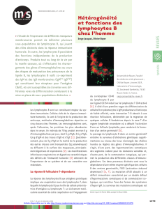 Hétérogénéité et fonctions des lymphocytes B chez l - iPubli