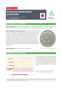 Diversité métabolique potentielle