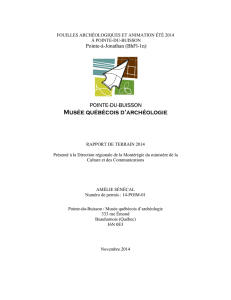 Rapport de fouilles PdB 2014 - Pointe-du