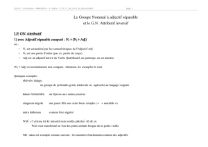 Le Groupe Nominal à adjectif séparable et le GN