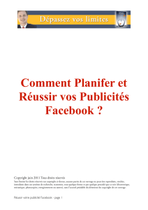 Comment Planifer et Réussir vos Publicités Facebook