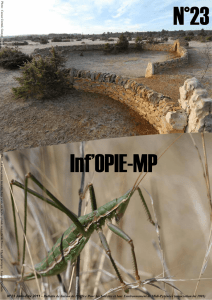Inf´Opie-MP n°23