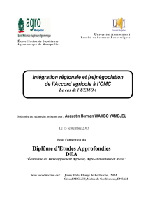Intégration régionale et (re)négociation de l`Accord