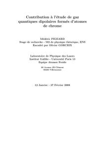 Contribution `a l`étude de gaz quantiques dipolaires formés d