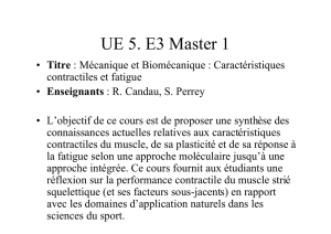 Relation Force-vitesse - Activité d`enseignement et de recherche