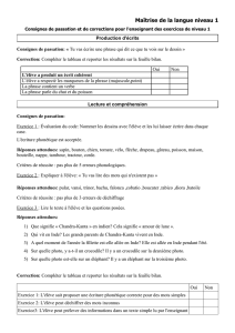 Evaluation SEGPA Français niveau1