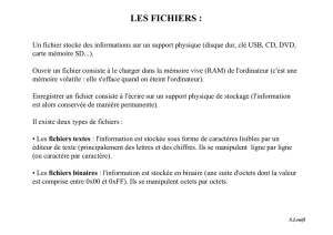 fichiers textes